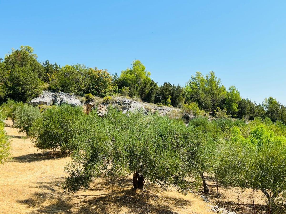 Apartmani Anita Skradin Luaran gambar